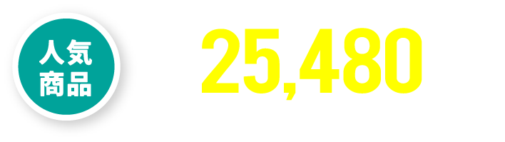 100GB / 25,480円〜